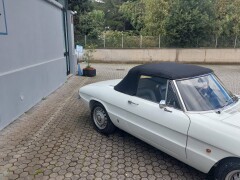 Alfa Romeo Spider 1750 Osso di seppia