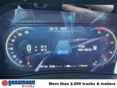 MAN TGS 18.480 4x2 BL, 10x vorhanden! 