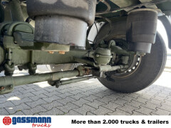 Schmitz Cargobull SCF 24 Containerchassis, Nachlauflenkachse, 