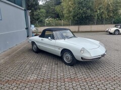 Alfa Romeo Spider 1750 Osso di seppia