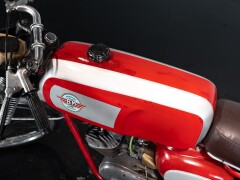 BM JAGUARINO SUPER SPORT 50 