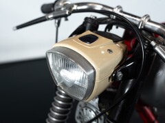 BM JAGUARINO SUPER SPORT 50 