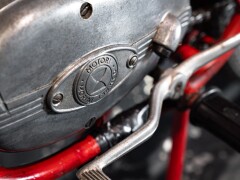 BM JAGUARINO SUPER SPORT 50 