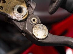 Ducati 944 SUPERTWIN GOLINELLI 