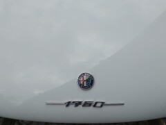 Alfa Romeo Spider 1750 Osso di seppia