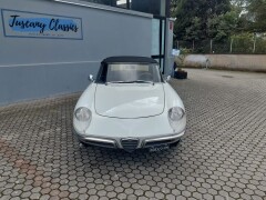 Alfa Romeo Spider 1750 Osso di seppia