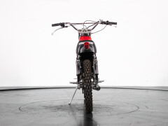 Intramotor GLORIA CALABRONE 