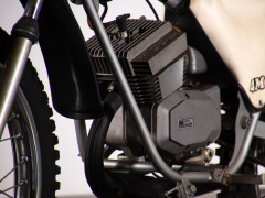 Intramotor GLORIA CALABRONE 