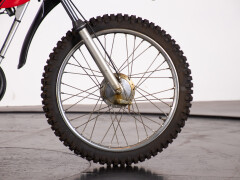 Intramotor GLORIA CALABRONE 