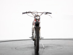 Intramotor GLORIA CALABRONE 