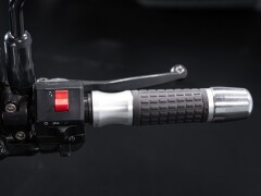 Triumph SPEED TRIPLE 