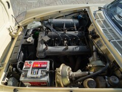 Alfa Romeo SPIDER 1750 VELOCE \"OSSO DI SEPPIA\" 