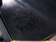 Aprilia RSV R 1000 TUONO 