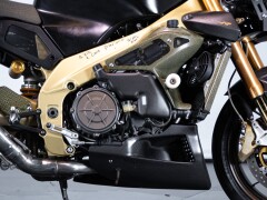 Aprilia RSV R 1000 TUONO 