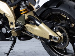 Aprilia RSV R 1000 TUONO 