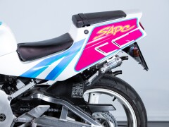 Suzuki RGV GAMMA 250 