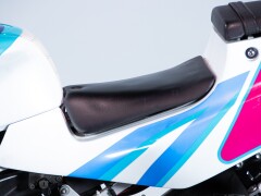 Suzuki RGV GAMMA 250 