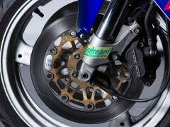 Suzuki RGV GAMMA 250 