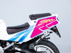 Suzuki RGV GAMMA 250 