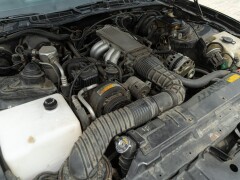 Pontiac FIREBIRD TRANS-AM 