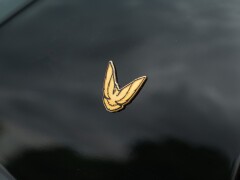 Pontiac FIREBIRD TRANS-AM 