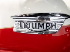 Triumph SCRAMBLER 900 