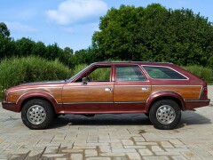AMC EAGLE 