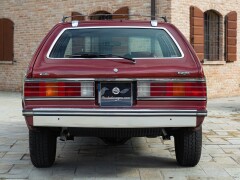 AMC EAGLE 