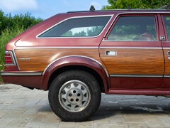 AMC EAGLE 