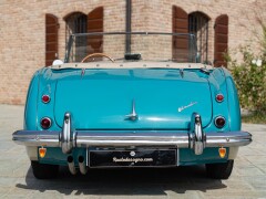 Austin Healey 100/6 BN4 